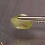 chrysoberyl cats eye 2.22cts - 8x7mm - Image 2