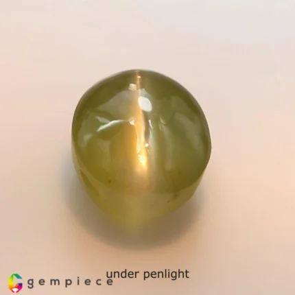 chrysoberyl cats eye 2.45cts - 8x6mm