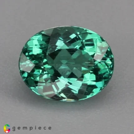 apatite 2.81cts - 10x8mm