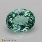 apatite 2.81cts - 10x8mm