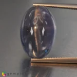 apatite cats eye 22.03cts - 19x13mm - Image 4