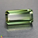 apatite 14.92cts - 23x10mm