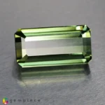 apatite 14.92cts - 23x10mm - Image 6