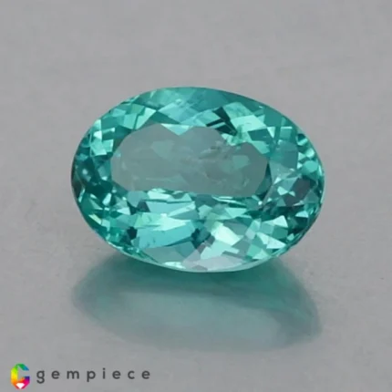 apatite 2.48cts - 10x7mm