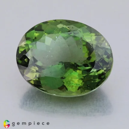 apatite 9.44cts - 15x12mm